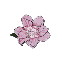 Il Giardino Incantato